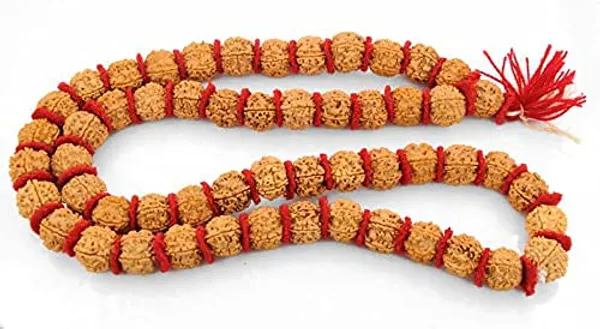 Orange_Natural_Rudraksha_Seeds_Rudraksha_Mala