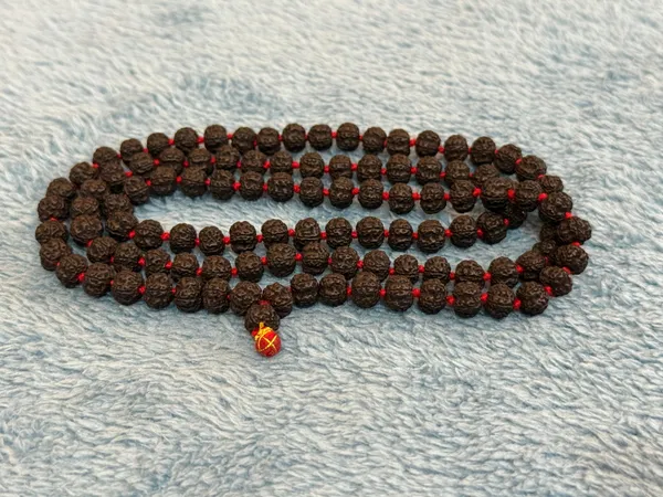 Black_Natural_Rudraksha_Seeds_Rudraksha_Mala