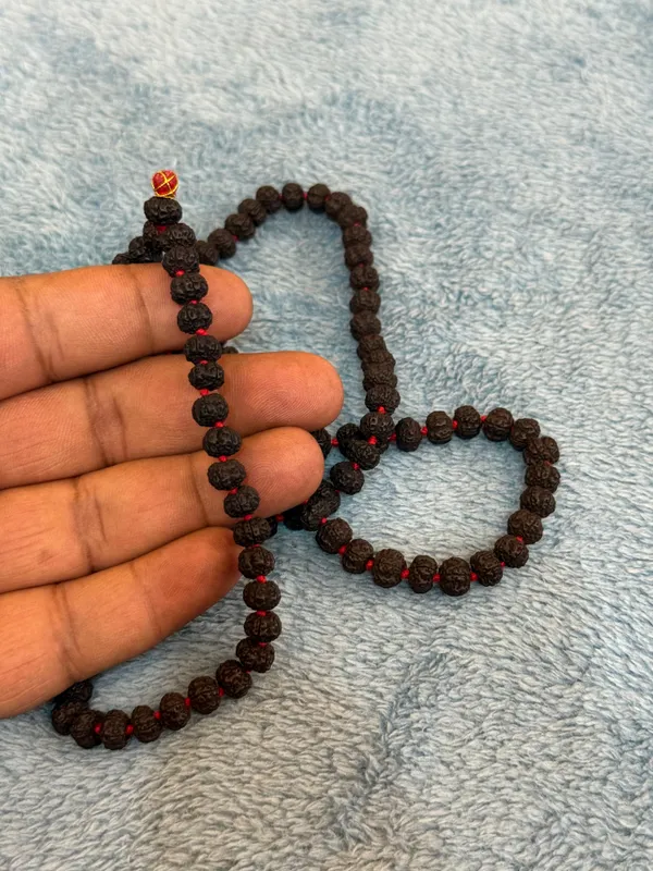 Black_Natural_Rudraksha_Seeds_Rudraksha_Mala