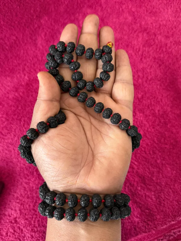 Black_Natural_Rudraksha_Seeds_Rudraksha_Mala