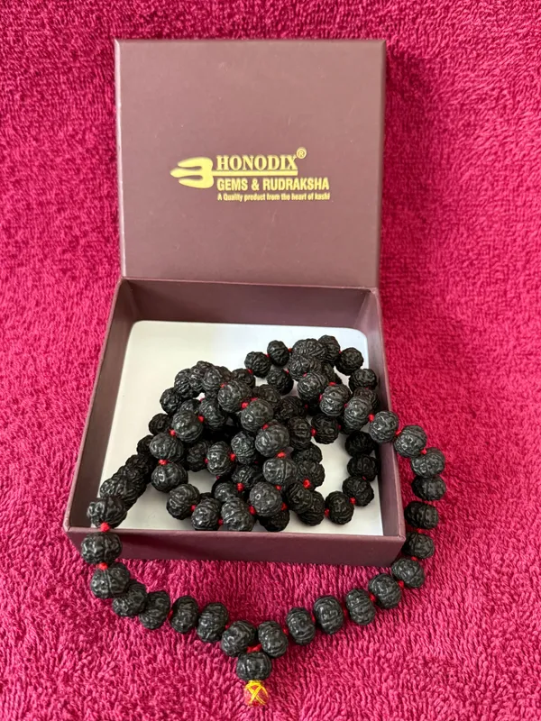 Black_Natural_Rudraksha_Seeds_Rudraksha_Mala