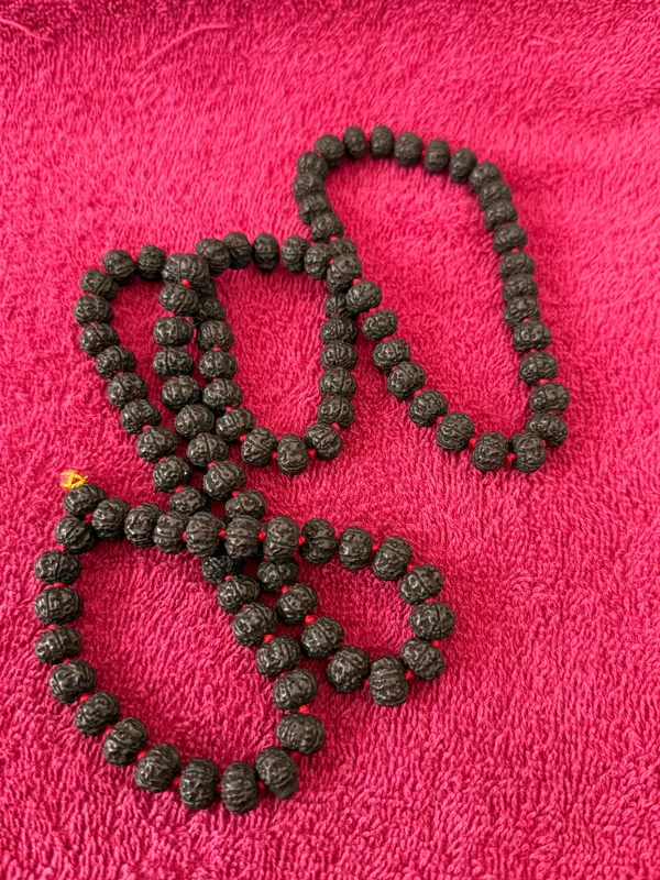 Black_Natural_Rudraksha_Seeds_Rudraksha_Mala