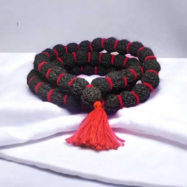 Black_Natural_Rudraksha_Seeds_Rudraksha_Mala