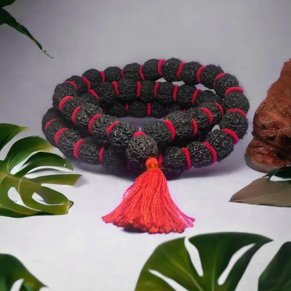 Black_Natural_Rudraksha_Seeds_Rudraksha_Mala