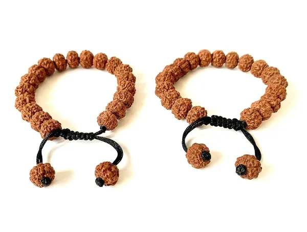 Natural_Brown_Natural_Rudraksha_Seeds_Rudraksha_Bracelet_Pack_Of_2