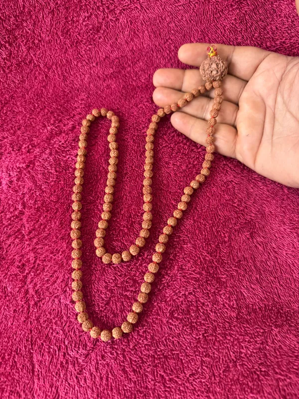 Natural_Brown_Natural_Rudraksha_Seeds_Rudraksha_Mala