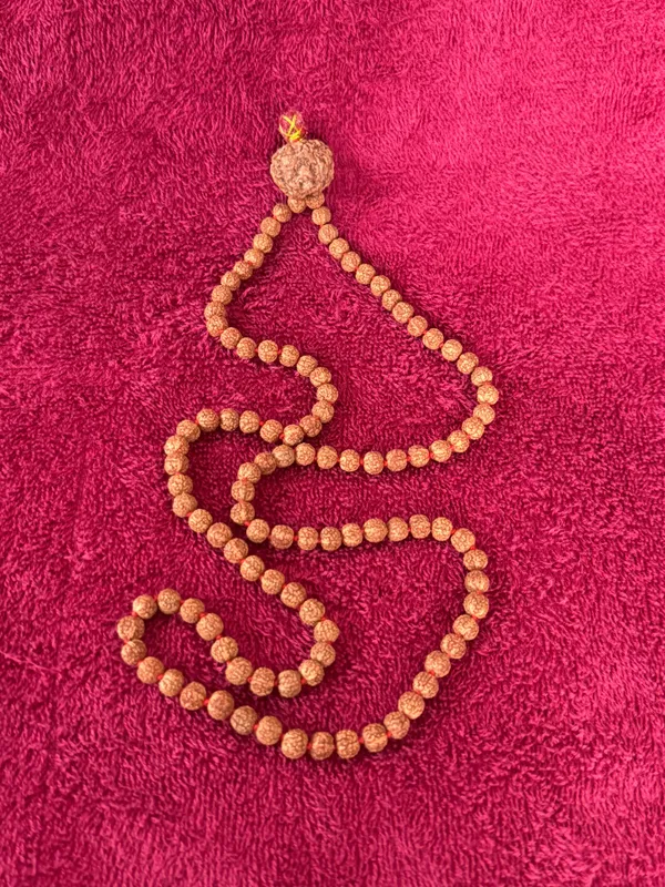 Natural_Brown_Natural_Rudraksha_Seeds_Rudraksha_Mala
