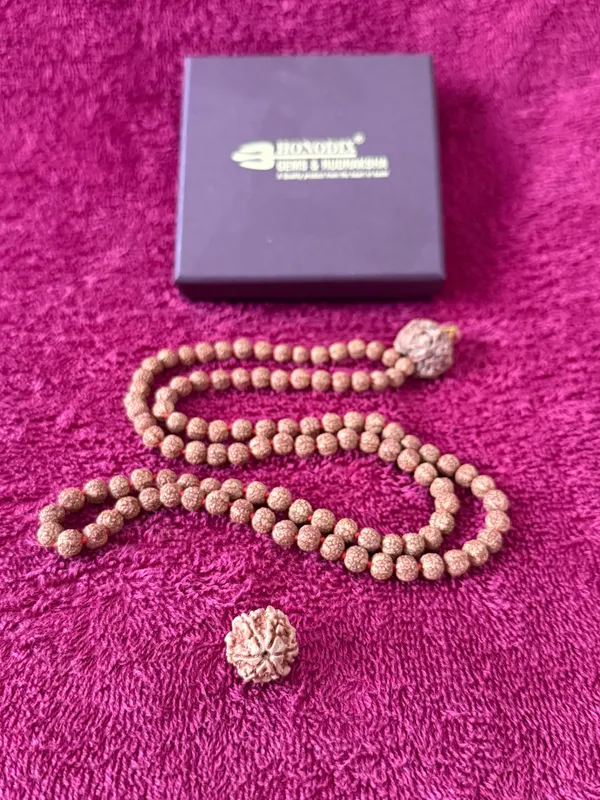 Natural_Brown_Natural_Rudraksha_Seeds_Rudraksha_Mala