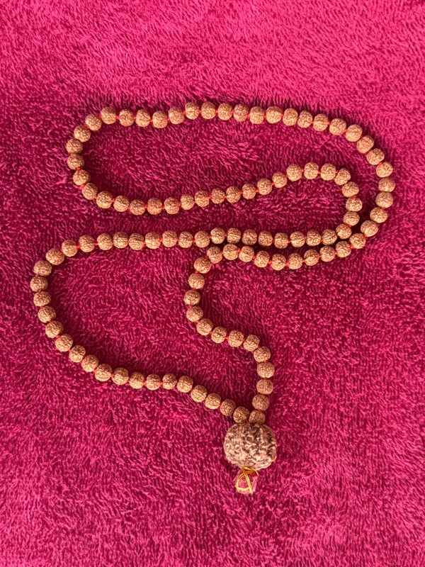 Natural_Brown_Natural_Rudraksha_Seeds_Rudraksha_Mala