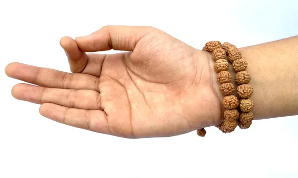Natural_Brown_Natural_Rudraksha_Seeds_Rudraksha_Bracelet_Pack_Of_2