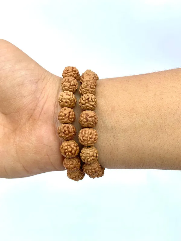 Natural_Brown_Natural_Rudraksha_Seeds_Rudraksha_Bracelet_Pack_Of_2