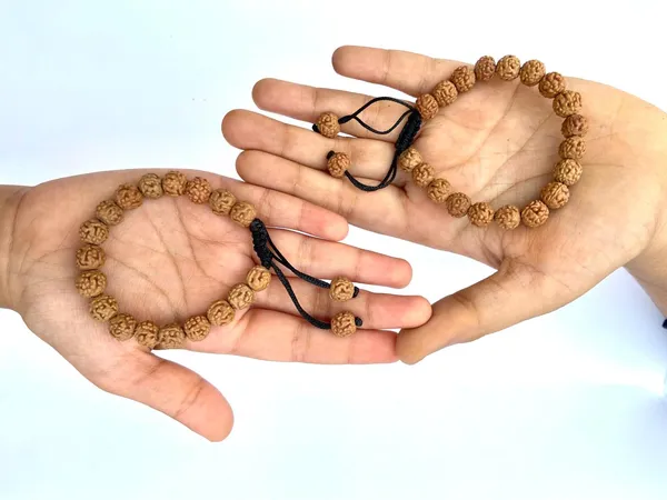Natural_Brown_Natural_Rudraksha_Seeds_Rudraksha_Bracelet_Pack_Of_2