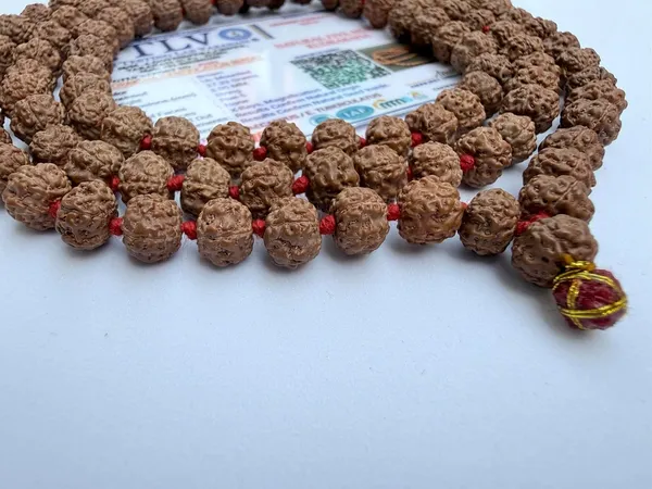 Natural_Brown_Seeds_Rudraksha_Mala