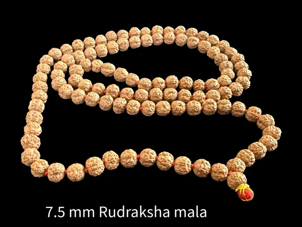 Natural_Brown_Natural_Rudraksha_Seeds_Rudraksha_Mala