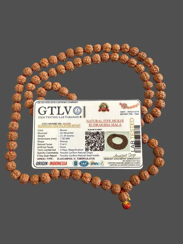 Natural_Brown_Natural_Rudraksha_Seeds_Rudraksha_Mala