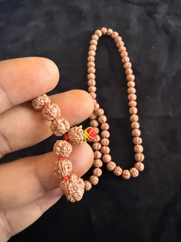 Natural_Brown_Natural_Rudraksha_Seeds_Rudraksha_Mala