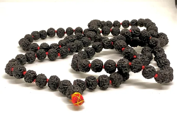 Black_Natural_Rudraksha_Seeds_Rudraksha_Mala