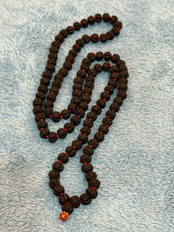 Black_Natural_Rudraksha_Seeds_Rudraksha_Mala