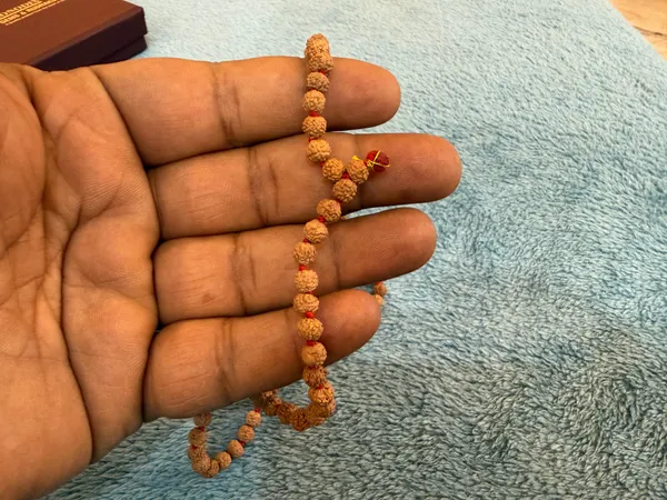 Natural_Brown_Natural_Rudraksha_Seeds_Rudraksha_Mala