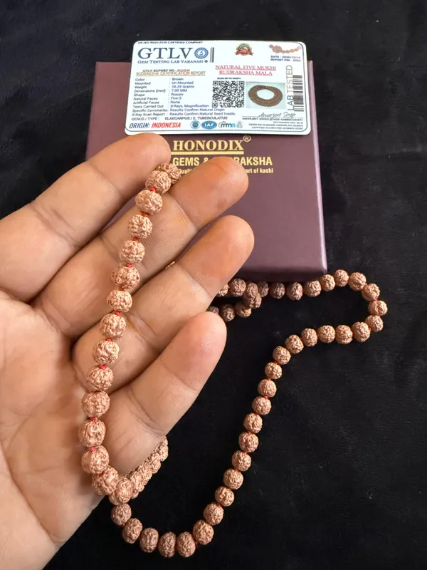 Natural_Brown_Natural_Rudraksha_Seeds_Rudraksha_Mala