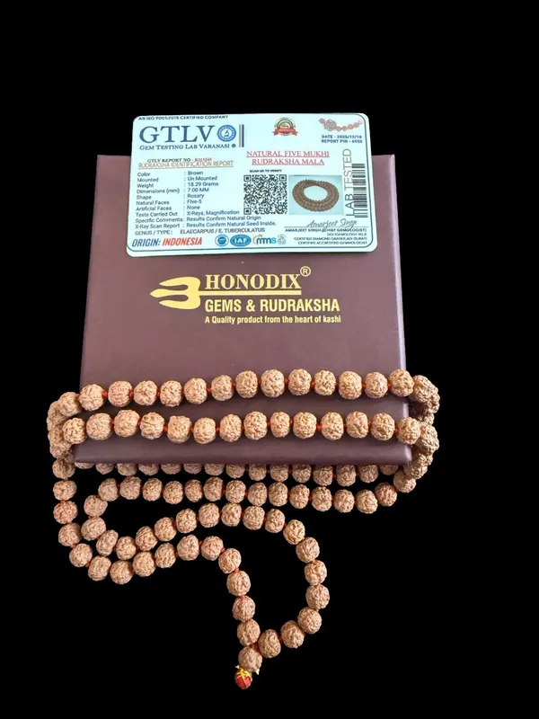 Natural_Brown_Natural_Rudraksha_Seeds_Rudraksha_Mala