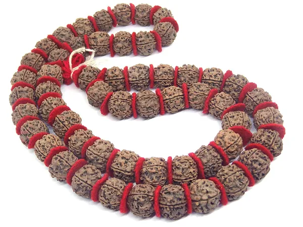 Natural_Brown_Natural_Rudraksha_Seeds_Rudraksha_Mala