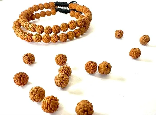 Natural_Brown_Seeds_Rudraksha_Bracelet_Pack_Of_2