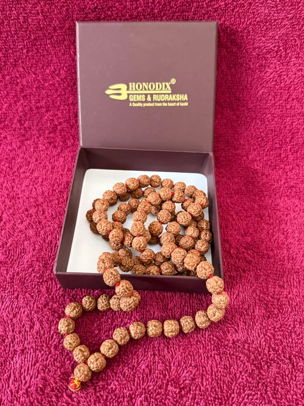 Natural_Brown_Natural_Rudraksha_Seeds_Rudraksha_Mala
