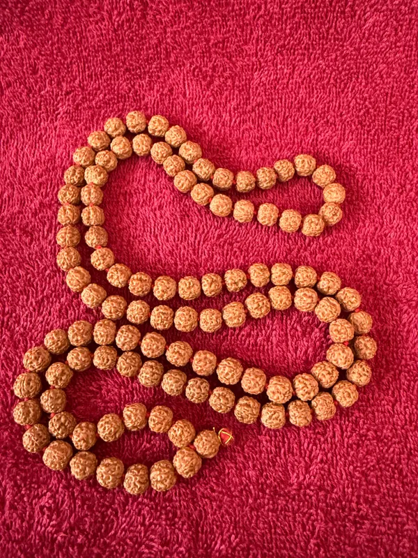 Natural_Brown_Natural_Rudraksha_Seeds_Rudraksha_Mala