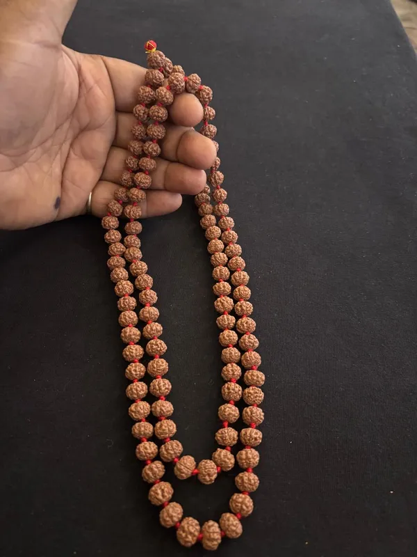 Natural_Brown_Natural_Rudraksha_Seeds_Rudraksha_Mala