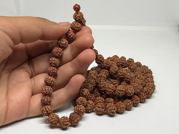 Natural_Brown_Natural_Rudraksha_Seeds_Rudraksha_Mala