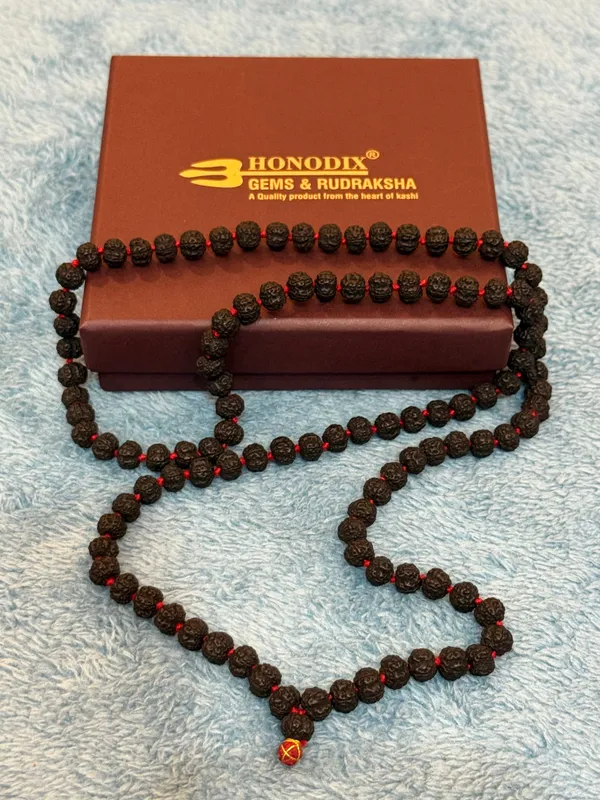 Black_Natural_Rudraksha_Seeds_Rudraksha_Mala