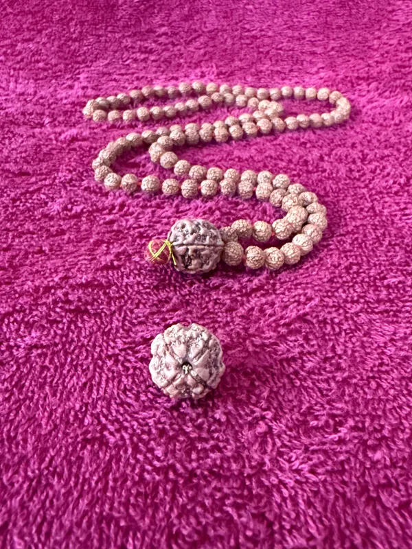 Natural_Brown_Natural_Rudraksha_Seeds_Rudraksha_Mala