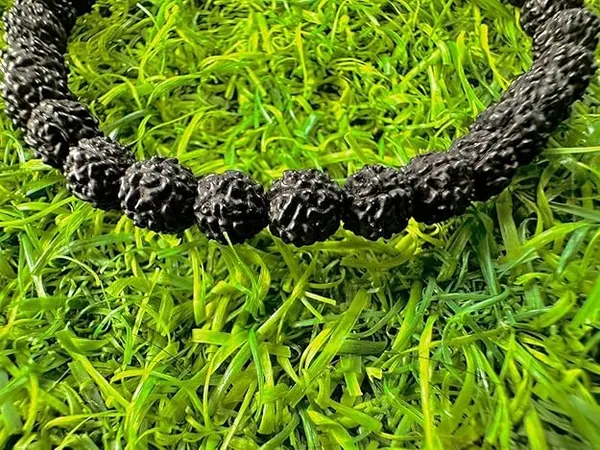 Black_Natural_Rudraksha_Bracelet_Pack_Of_2