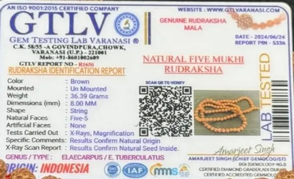 Natural_Brown_Natural_Rudraksha_Seeds_Rudraksha_Mala