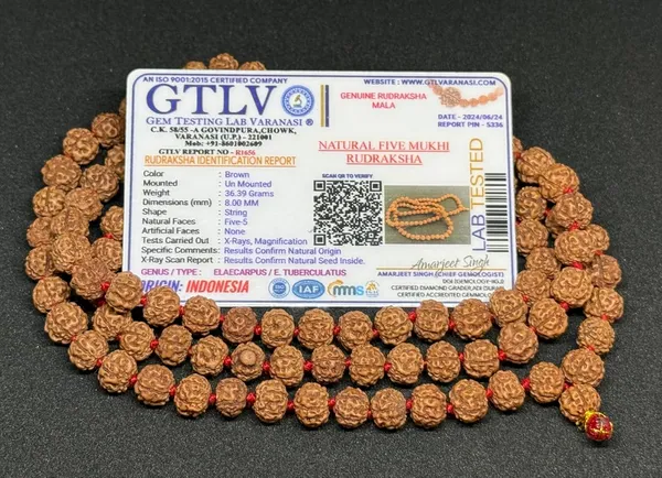 Natural_Brown_Natural_Rudraksha_Seeds_Rudraksha_Mala