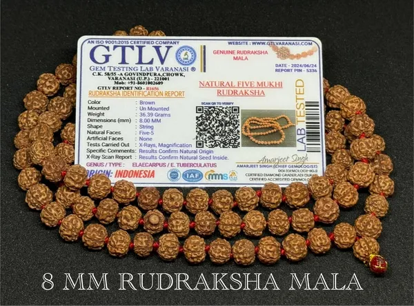Natural_Brown_Natural_Rudraksha_Seeds_Rudraksha_Mala