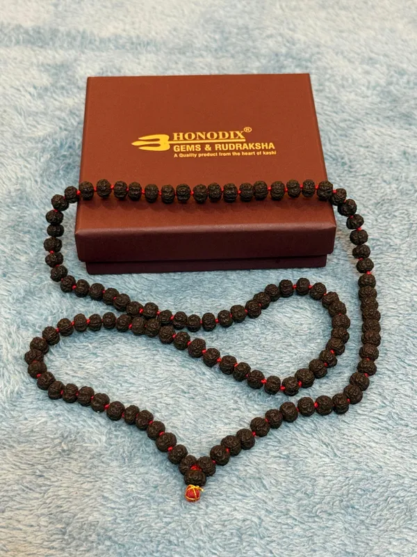 Black_Natural_Rudraksha_Seeds_Rudraksha_Mala