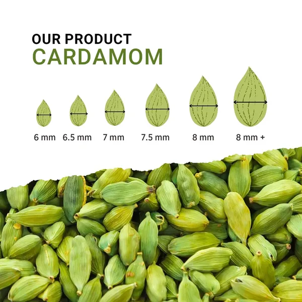 Whole_Green_Cardamom_Pods