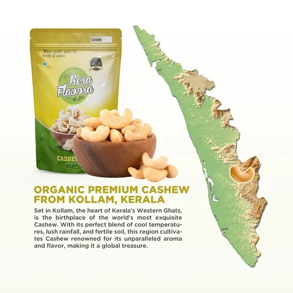Cashew_Nuts
