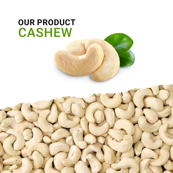 Cashew_Nuts