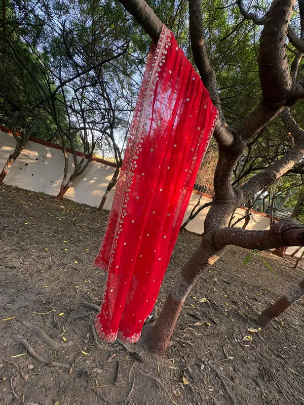 red_naznin_embroidery_work_dupatta_for_women