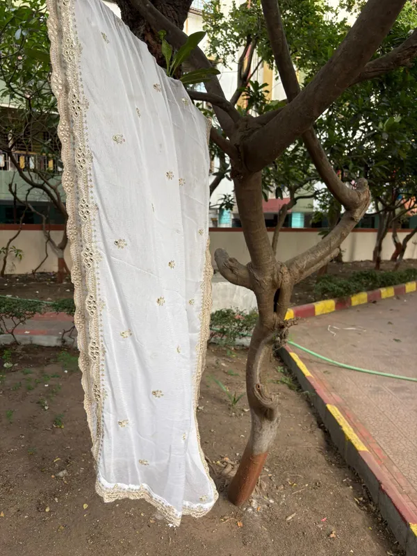 white_naznin_embroidery_work_dupatta_for_women