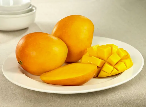 RATNAGIRI_ALPHANSO_MANGO_PLANTS