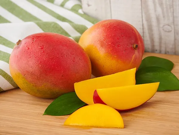 SENSETION_MANGO_PLANTS
