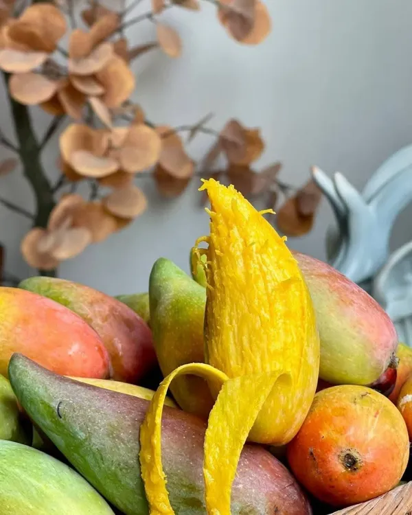 THAI_GRAFTED_CHILLI_MANGO_PLANTS