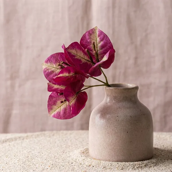 Murayama_Bougainvallia_Plants-_Deep_Purple_Maroon_Antirrhinum_Flower_Seeds