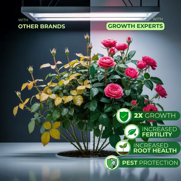 Eco_Friendly_Money_Plant_Expert_Crops_And_Plants_Liquid