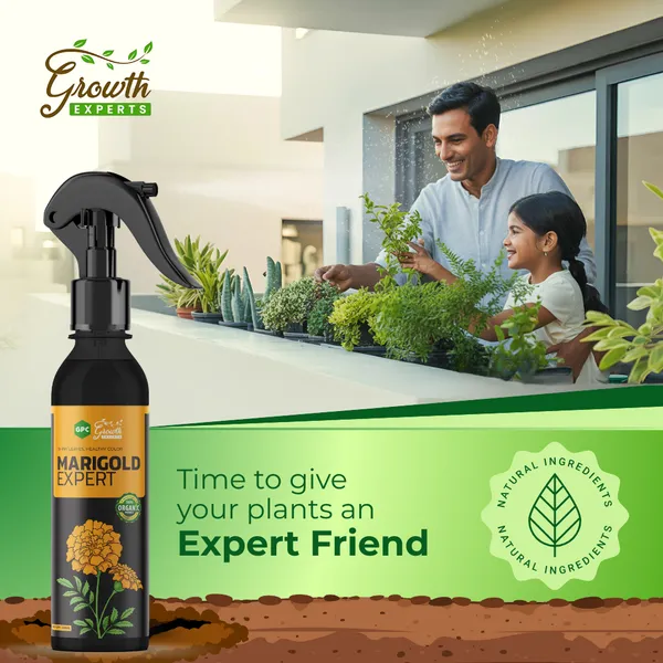 Eco_Friendly_Marigold_Expert_Crops_And_Plants_Liquid