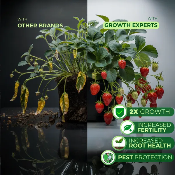 Eco_Friendly_Fruit_Expert_Crops_And_Plants_Liquid
